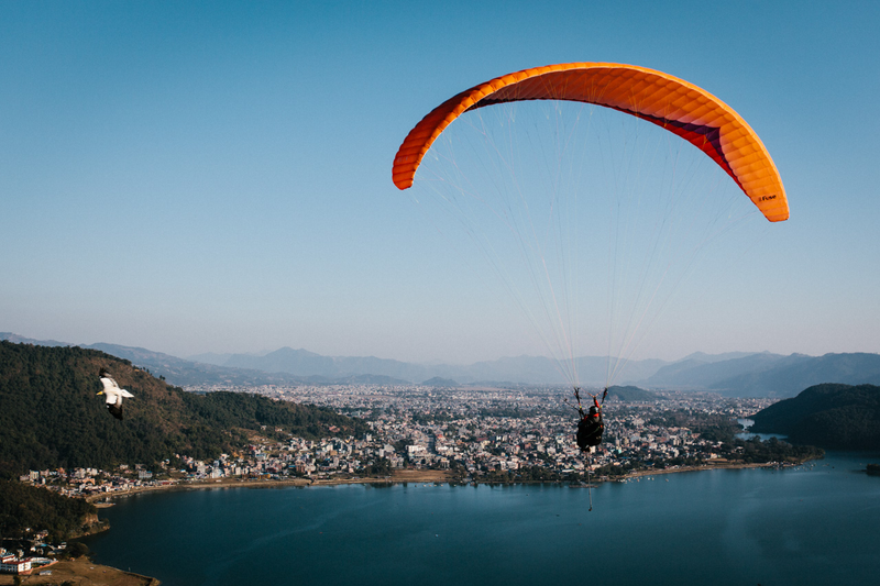 Illustration for article titled Parahawking: An Actual Sport That Mixes Paragliding And GIANT BIRDS
